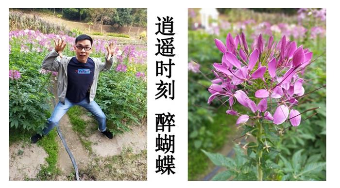 珠海博威智能電網有限公司南昆山白水寨冬季出游！